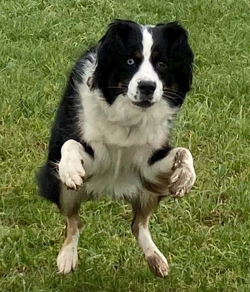 4. Smiješno i čudno u isto vrijeme 😃