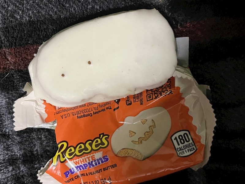 12. Vrlo neobična bundeva