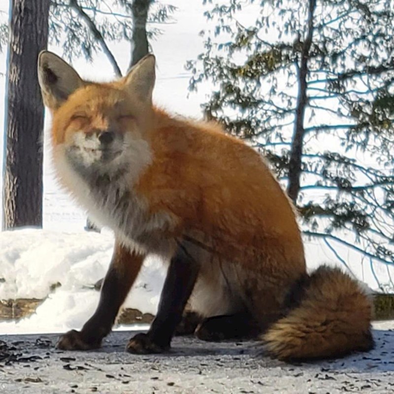 Osmijeh od kojeg ćete se rastopiti ❤️