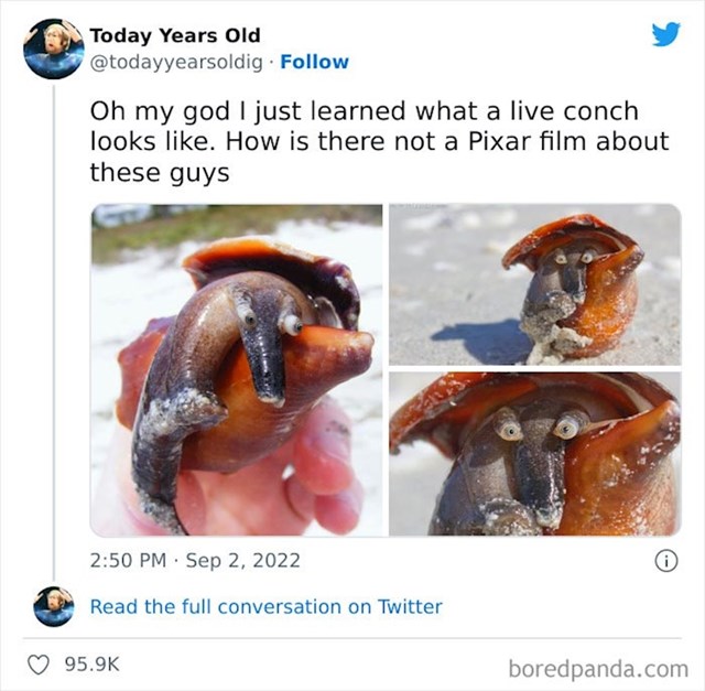19.