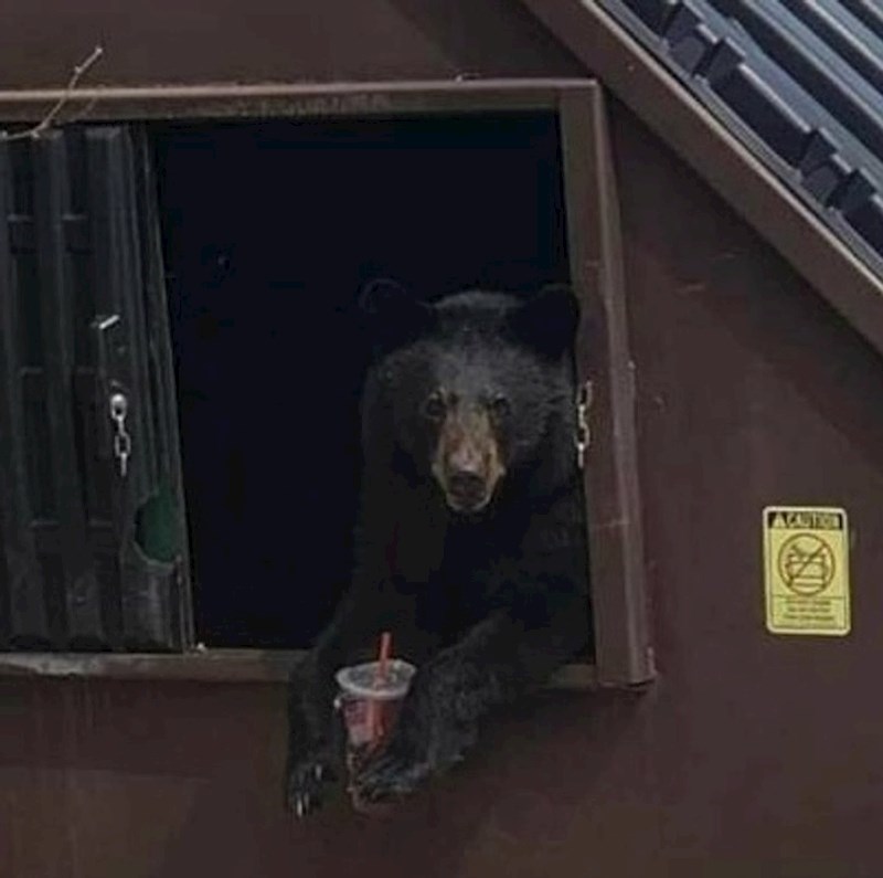 Izgleda kao zaposlenik u nekom restoranu brze hrane 😂