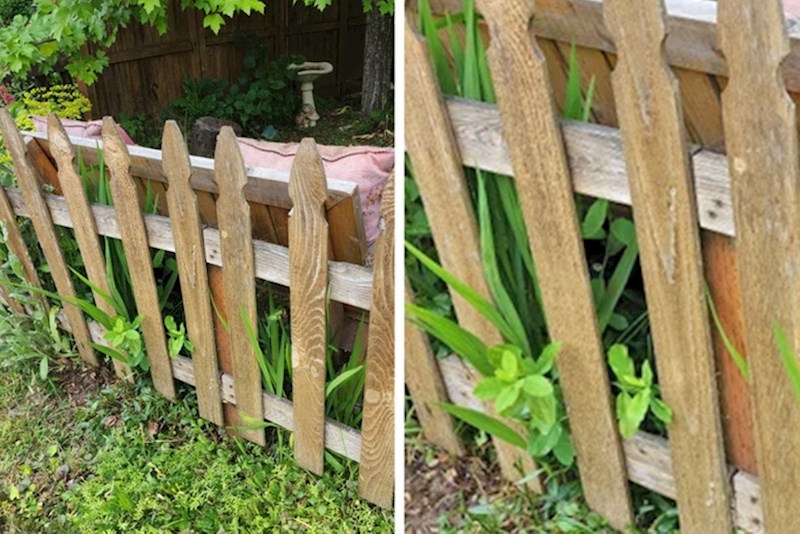 12. Za ovo ćete se morati malo više potruditi da pronađete gdje se sakrila mačka!