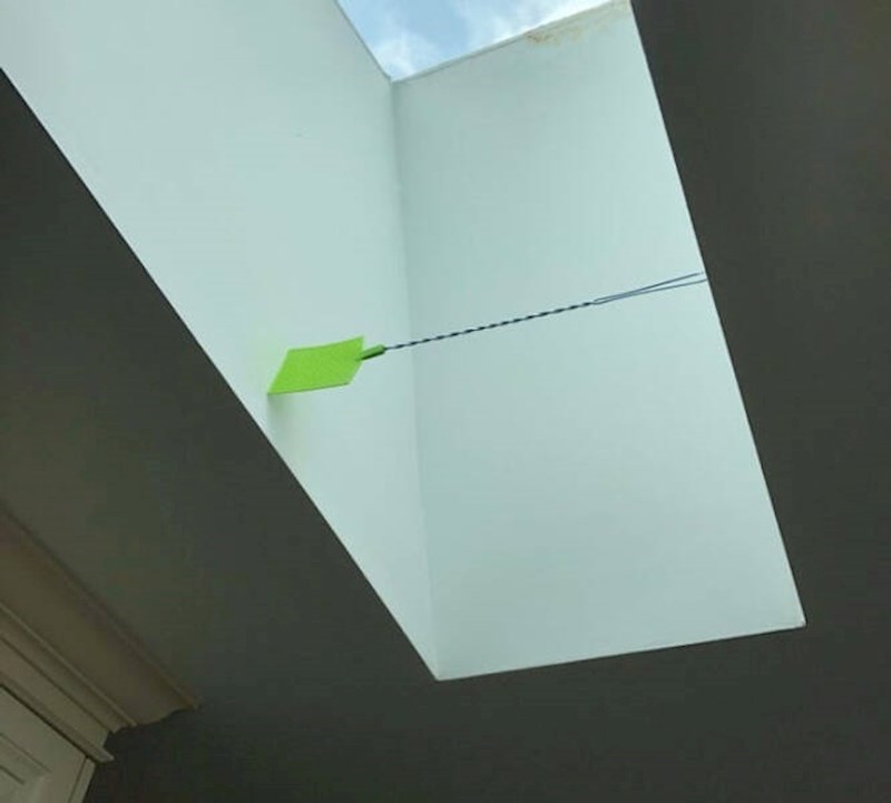 1. Bacio je muhomlat kako bi pogodio muhu, a onda se dogodilo nešto što nije očekivao...