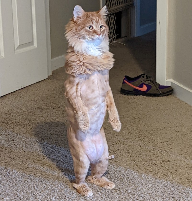 9. Malčice jezivo...