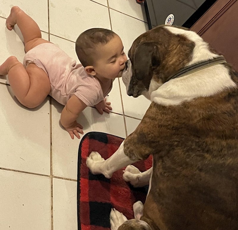 2. Najbolji prijatelji u nastajanju 🥰