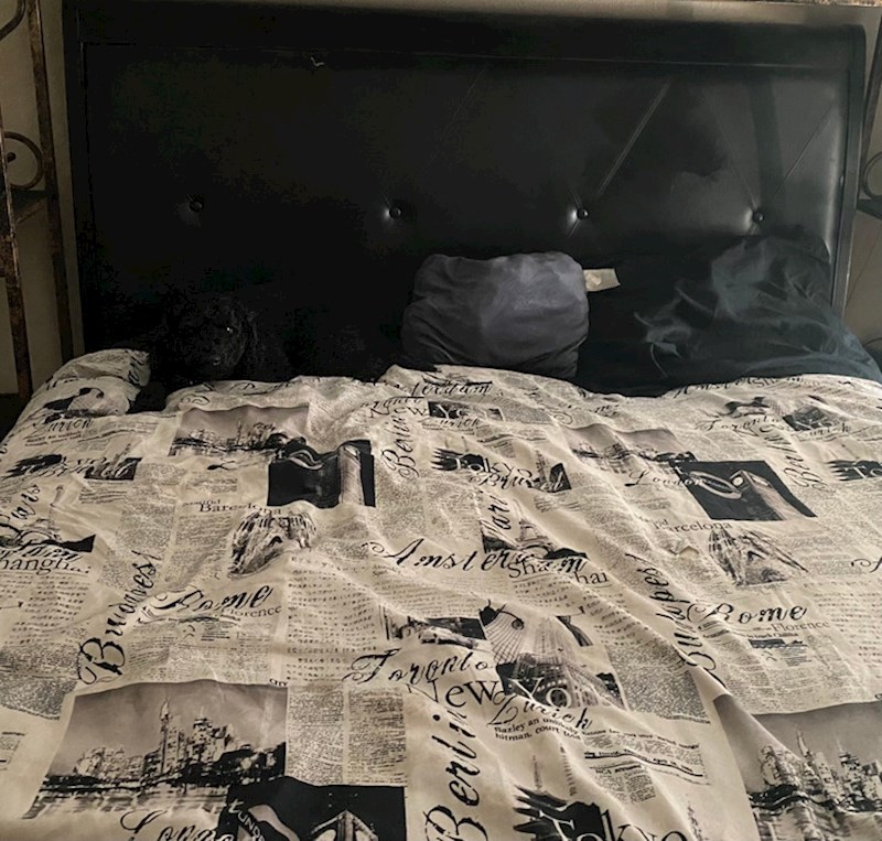 15. Stopio se s krevetom 😃