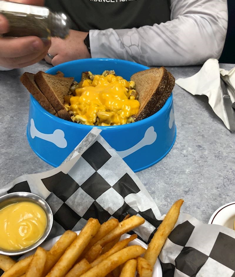 8. "Dobio sam doručak u posudi za pse"