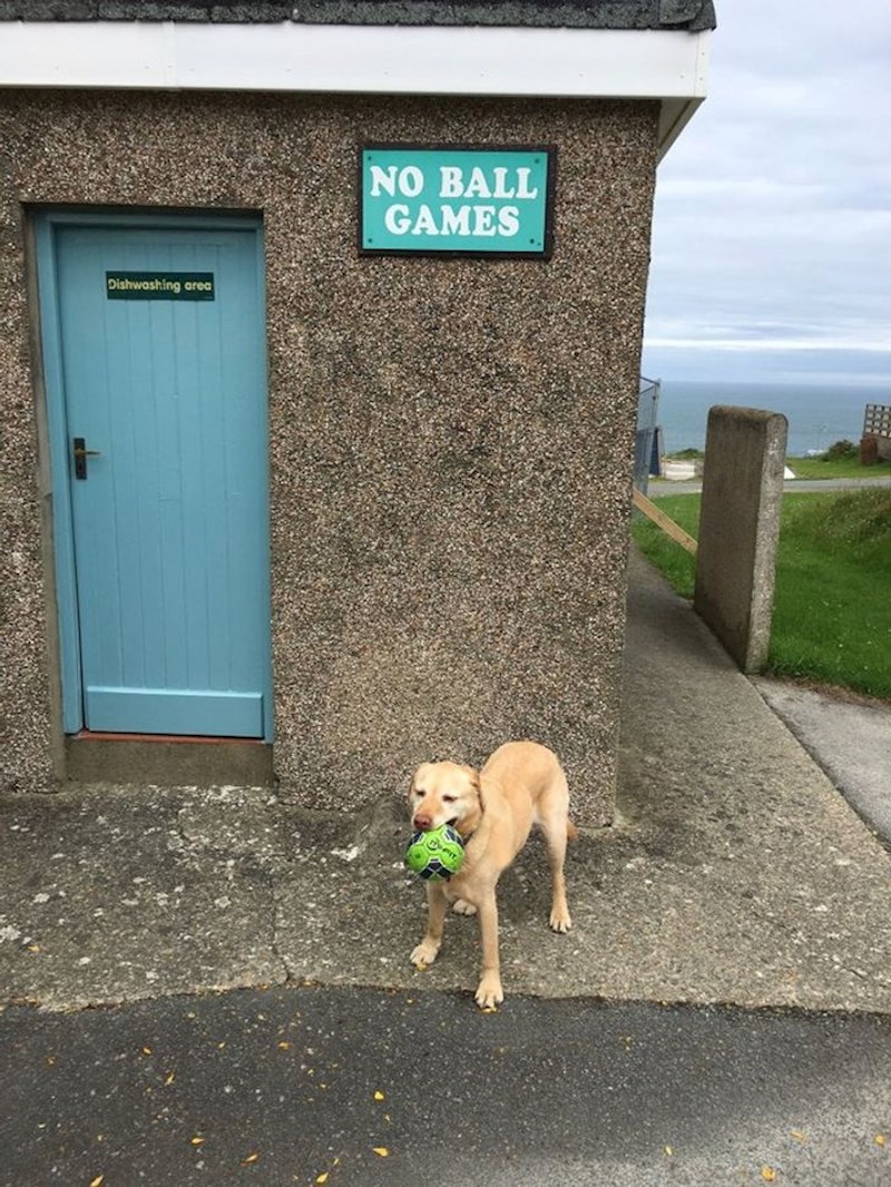 3. Neće njemu nitko određivati gdje će se igrati