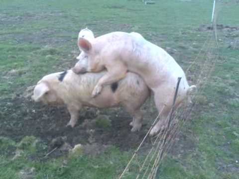 Misli što piješ, pardon, što ...