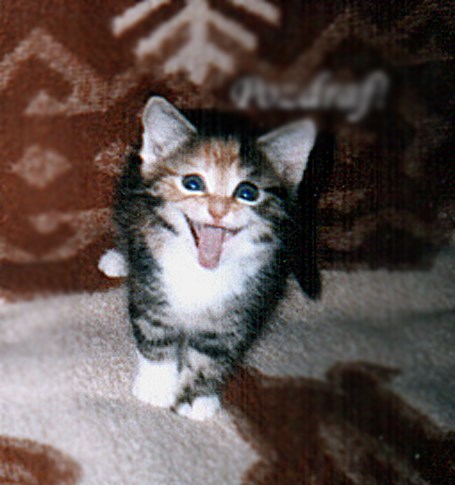 Za razigranog poslodavca-slka uz zamolbu za posao