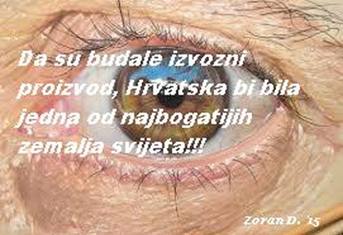 najbogatiji.jpg