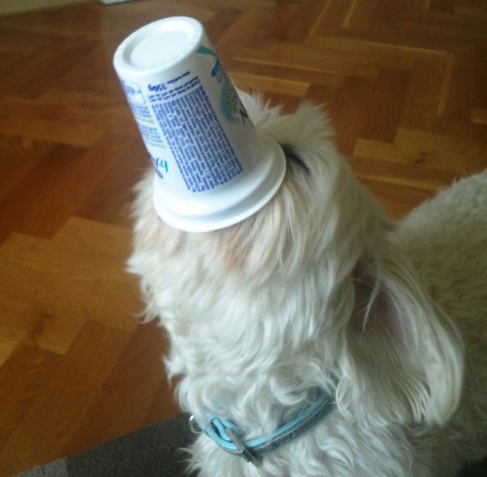 mmmmm jogurt