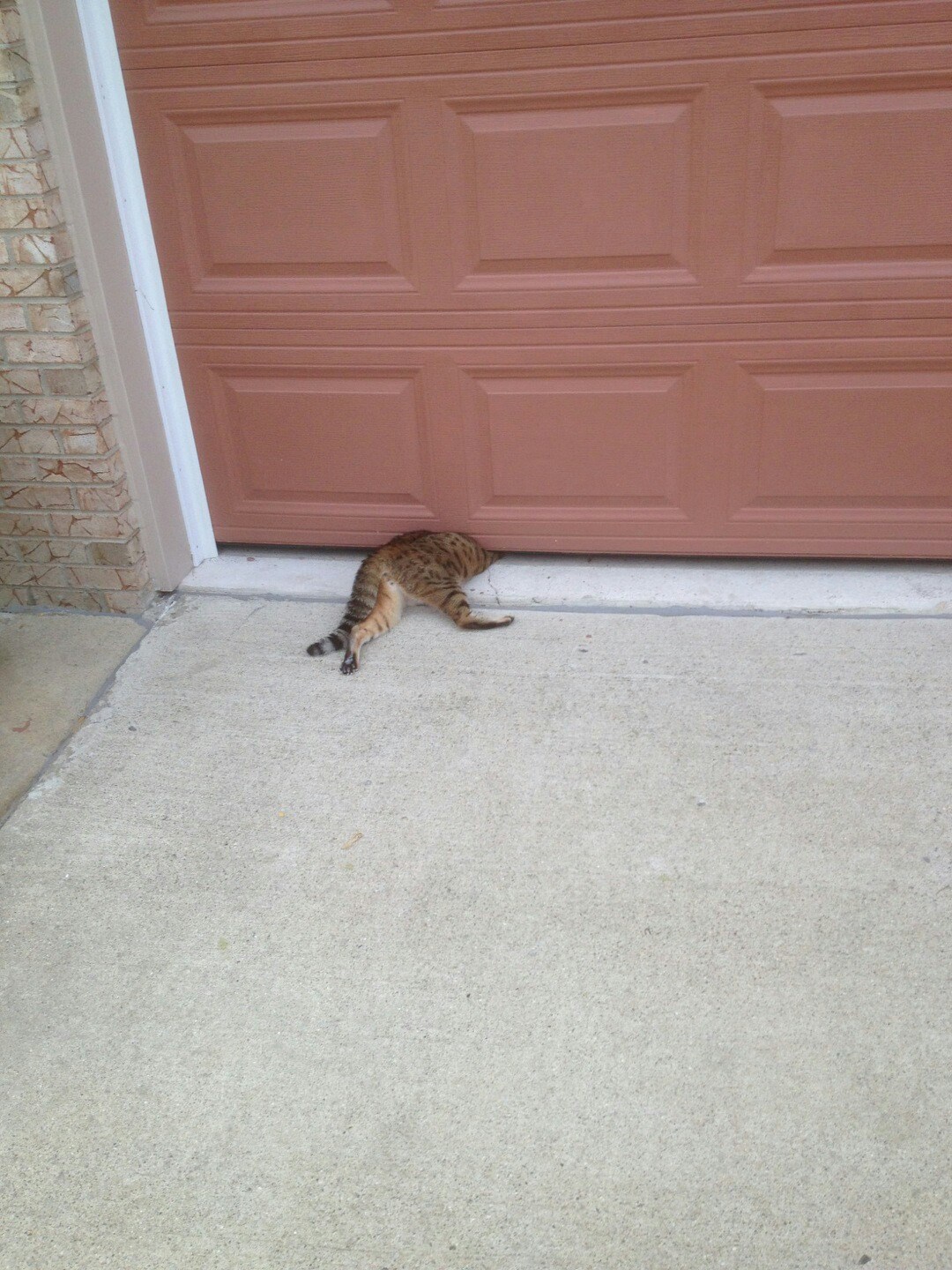 Uf...ček' malo...tu je...samo da ga dohvatim...