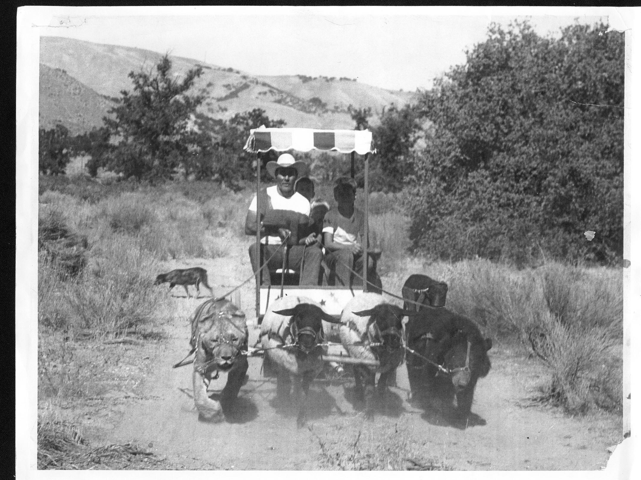 Što je čudno? Kočija ko' kočija...