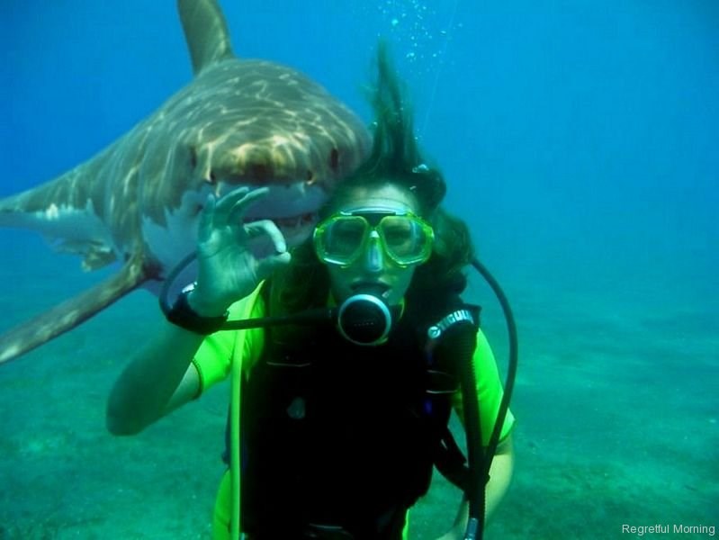 Pozdrav s godišnjeg odmora. Zadnjeg.