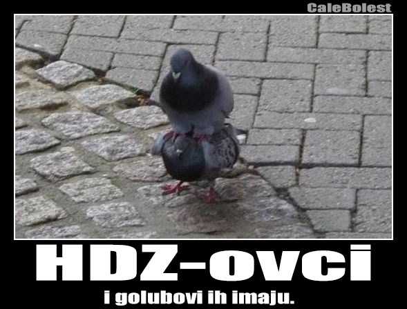 HDZ-ovci