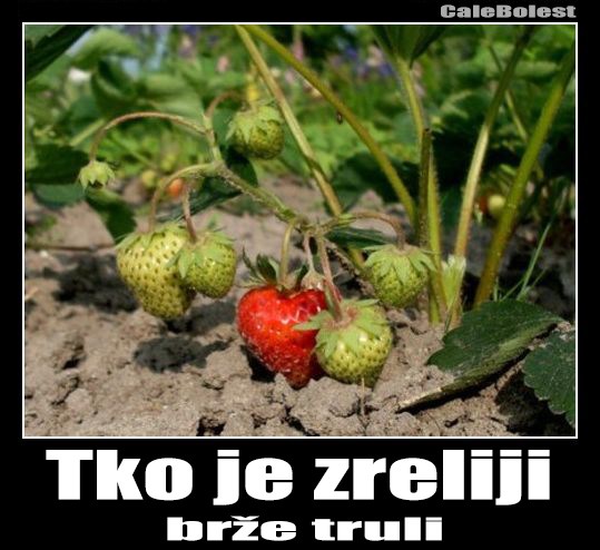 Tko je zreliji