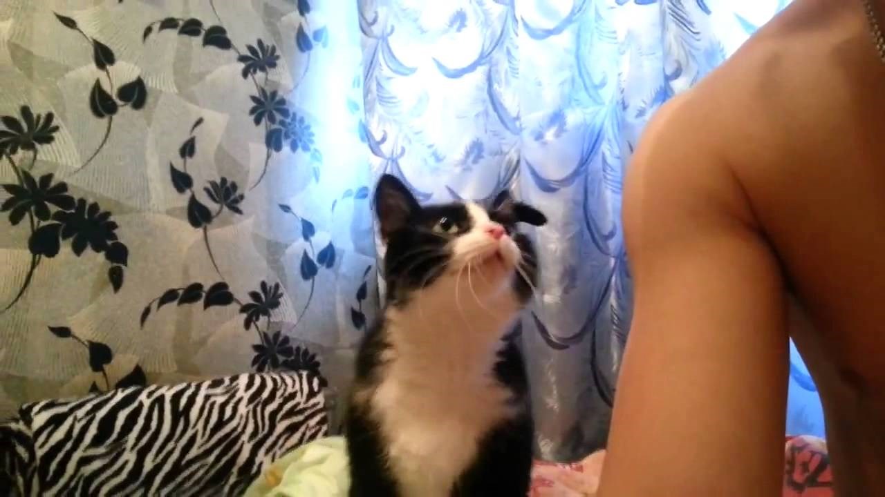 VIDEO: Najslađe žicanje pusica ikad viđeno