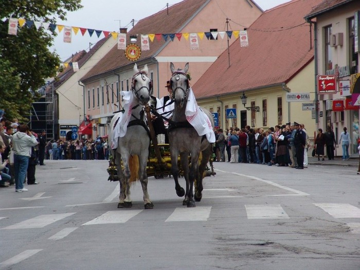 VINKOVCI