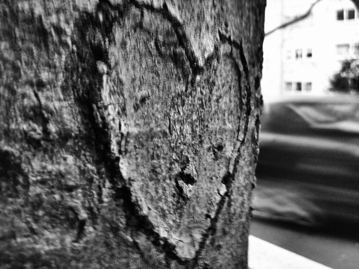 Love is what remains