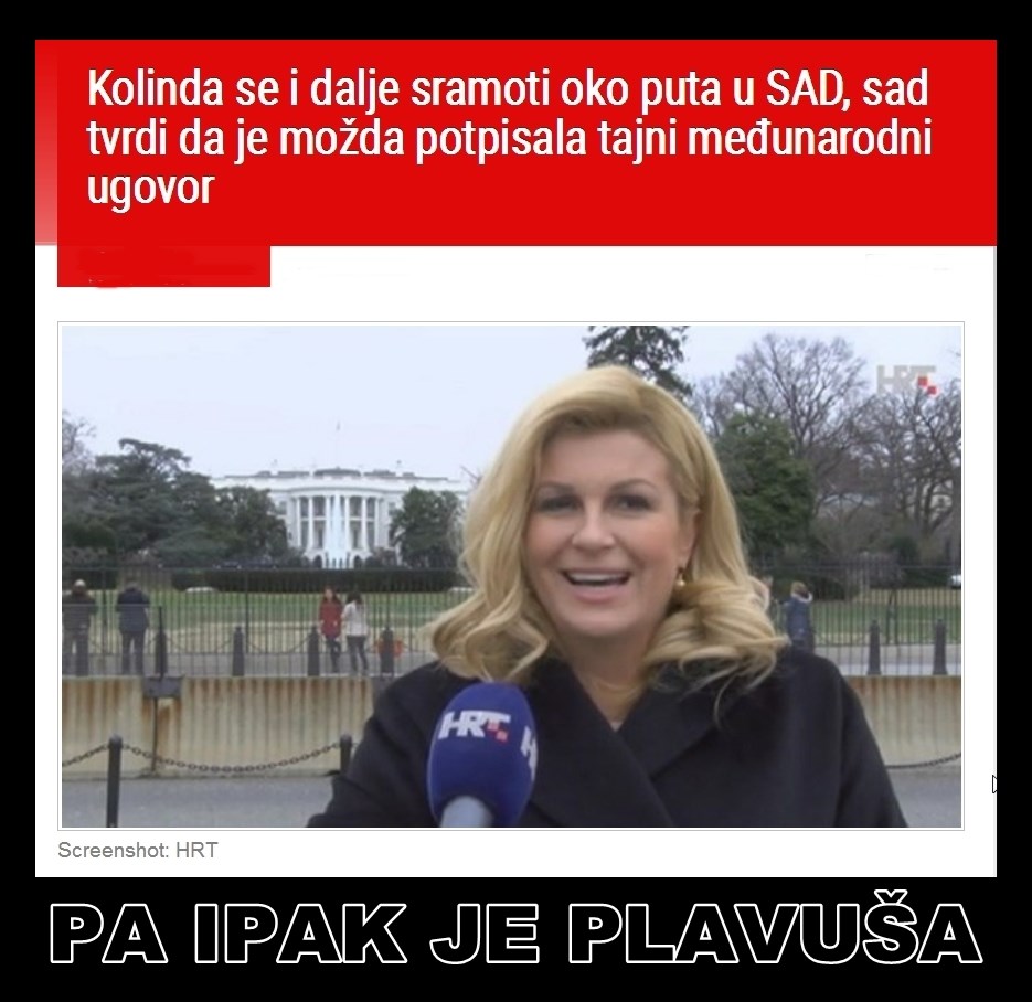 plavuša.jpg
