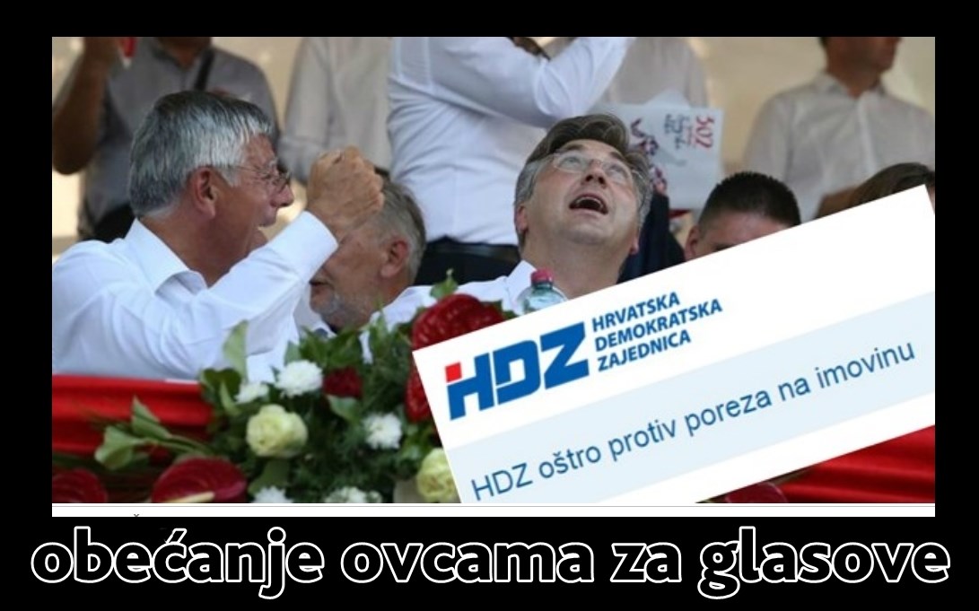 šišajmo ovce.jpg