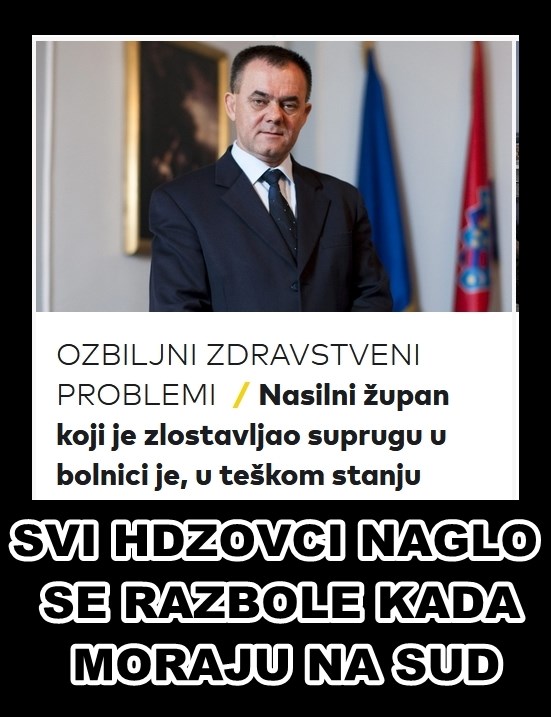 HDZITIS.jpg