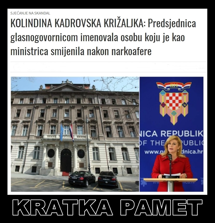 kratka pamet fikusa.jpg