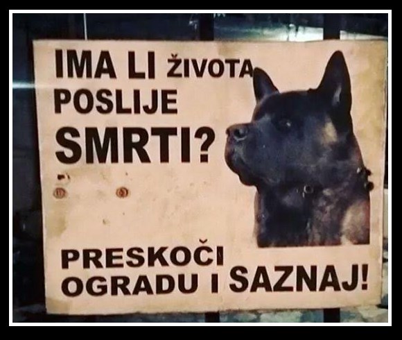 život poslije smrti...jpg