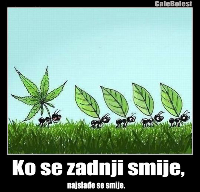 Ko se zadnji smije,