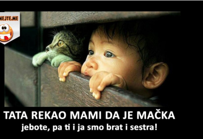 Mačka 