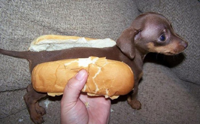 A nemoj malog hot-doga pojesti, imaj srca!
