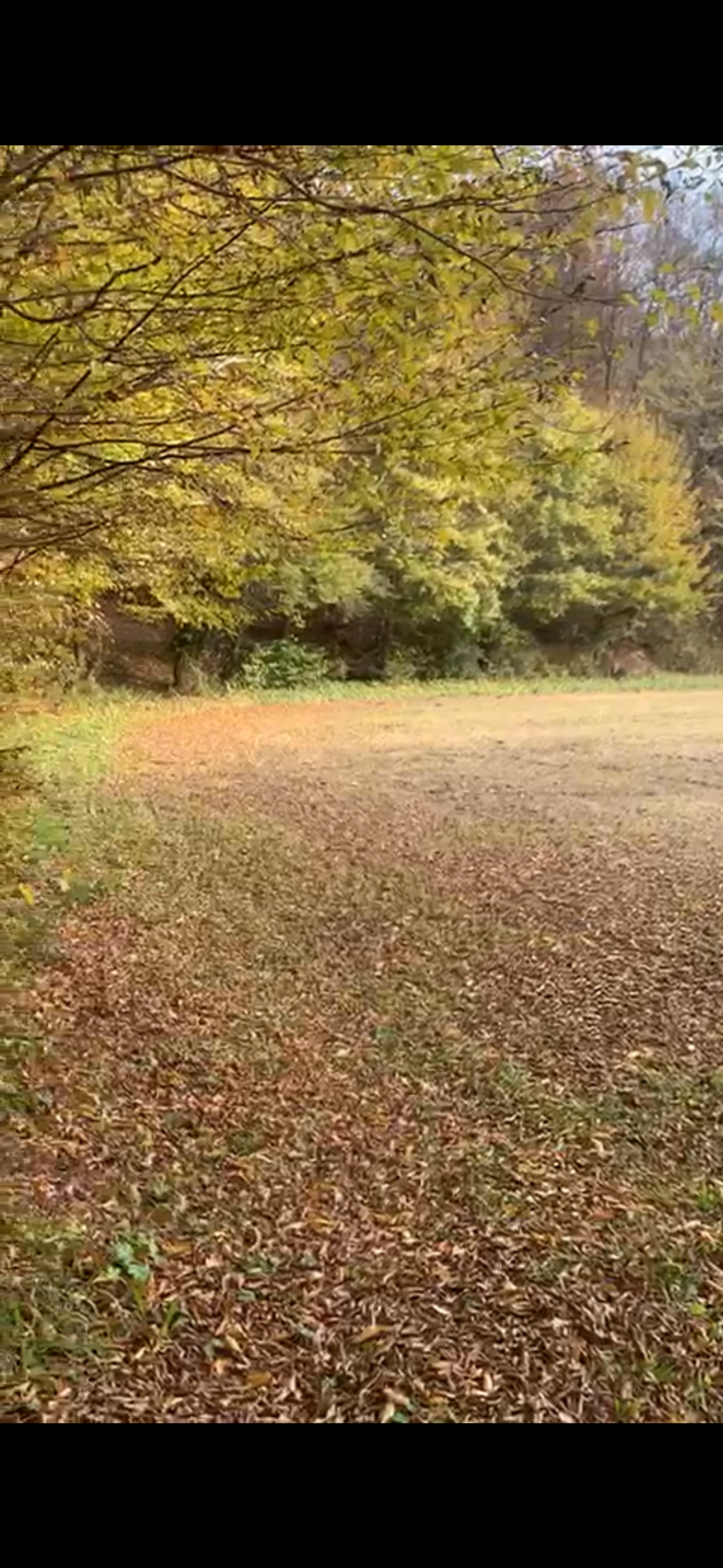 Zemljište Sveta Nedelja