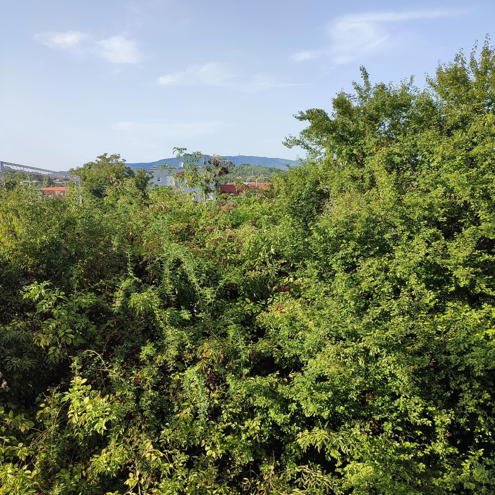 Mijenjam stan u Zagrebu za kucu na moru