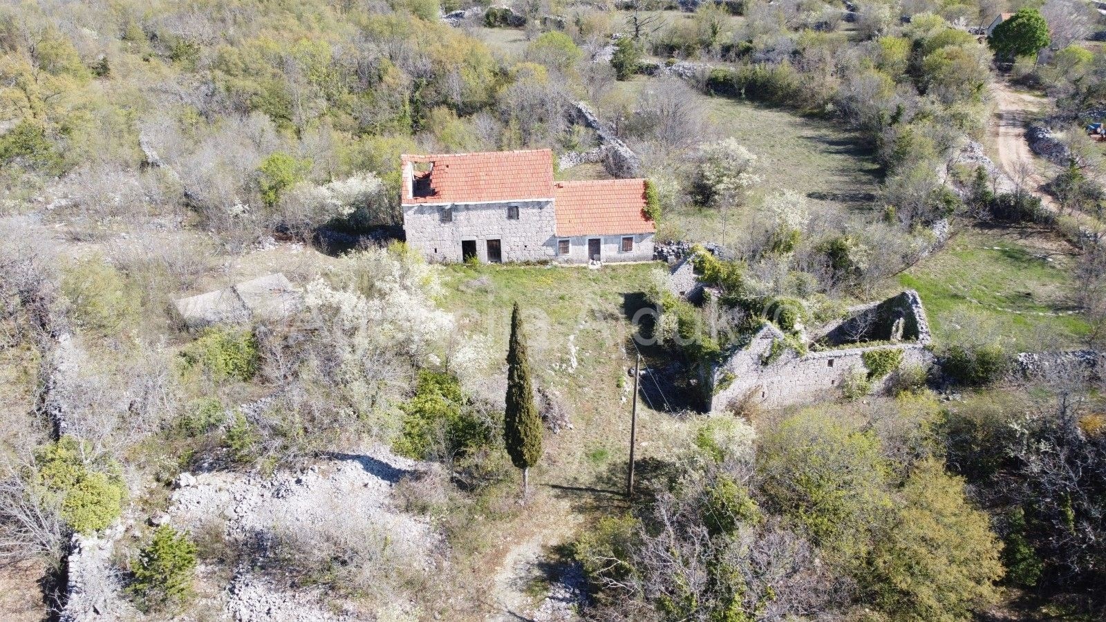 Imotski Lovreć četiri kamene kuće i velika okućnica 13000 m2