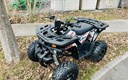 ATV 125cc - maxi dječji quad - WBrend.hr