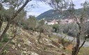 Zemljište Dubrovnik - Okolica Šipanska Luka